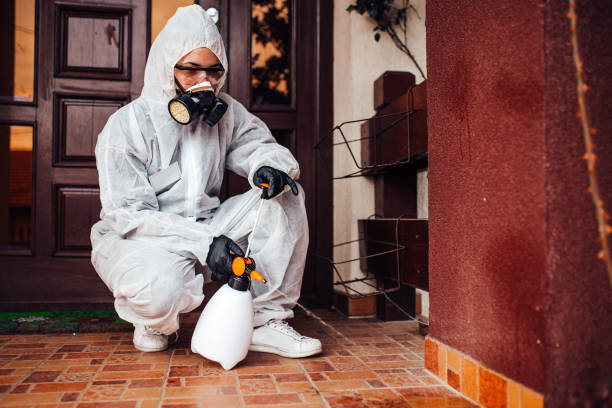 Reliable Wasp Removal contractor in Blackwells Mills, NJ by Show Me Pest Control